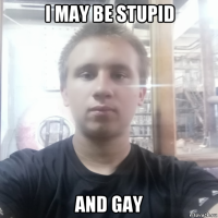 i may be stupid and gay