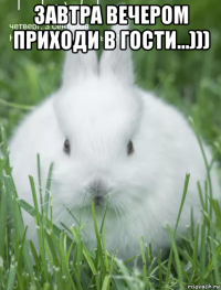 завтра вечером приходи в гости...))) 