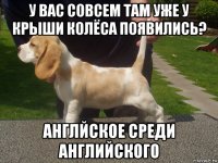 у вас совсем там уже у крыши колёса появились? англйское среди английского