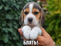  блять!