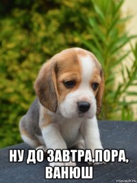  ну до завтра,пора, ванюш