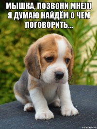 мышка, позвони мне))) я думаю найдём о чем поговорить... 