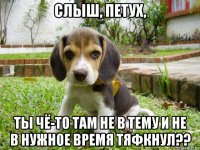 слыш, петух, ты чё-то там не в тему и не в нужное время тяфкнул??