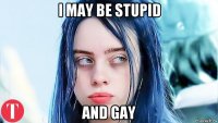 i may be stupid and gay