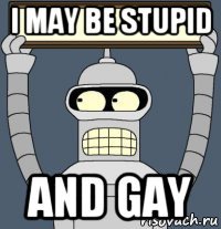 i may be stupid and gay