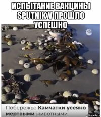 испытание вакцины sputnik v прошло успешно 
