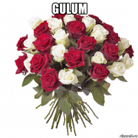 gulum 