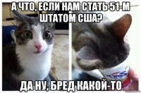 а что, если нам стать 51-м штатом сша? да ну, бред какой-то