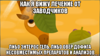 как я вижу лечение от заводчиков либо энтерос гель, либо овер дофига несовместимых препаратов и анализов
