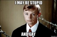 i may be stupid and gay