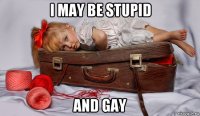 i may be stupid and gay