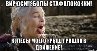 вирюси! эболы стафилококки! колёсы моего крыш пришли в движение!