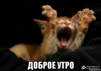 доброе утро