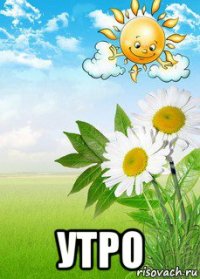  утро