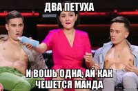 два петуха и вошь одна, ай как чешется манда