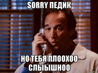 sorry педик но тебя плоохоо слыышноо