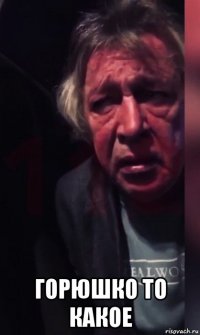  горюшко то какое