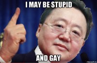 i may be stupid and gay