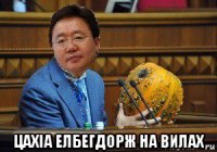  цахіа елбегдорж на вилах