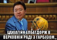  цахіагійн елбегдорж в верховній раді з гарбузом