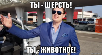 ты - шерсть! ты - животное!