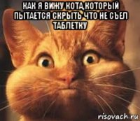 как я вижу кота,который пытается скрыть что не съел таблетку 