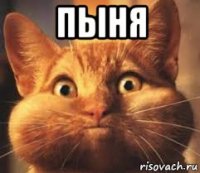 пыня 
