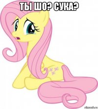 ты шо? сука? 