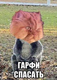  гарфи спасать