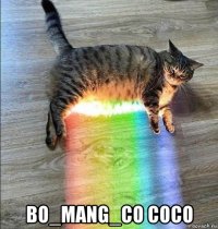 bo_mang_co coco