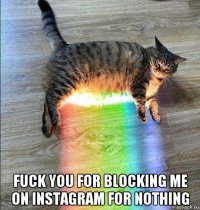  fuck you for blocking me on instagram for nothing