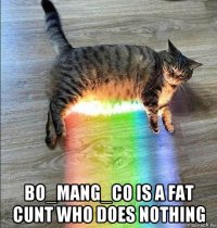  bo_mang_co is a fat cunt who does nothing