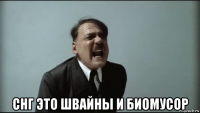  снг это швайны и биомусор