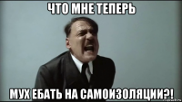 что мне теперь мух ебать на самоизоляции?!