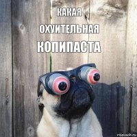 какая охуительная копипаста