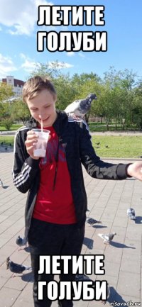 летите голуби летите голуби