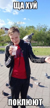 ща хуй поклюют
