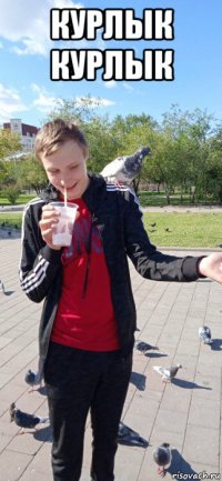 курлык курлык 