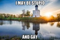 i may be stupid and gay