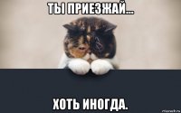 ты приезжай... хоть иногда.