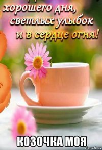  козочка моя