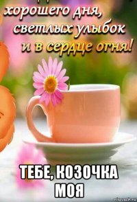 тебе, козочка моя