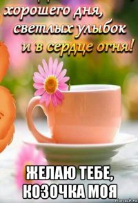  желаю тебе, козочка моя