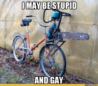 i may be stupid and gay
