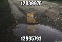 12839976 12995792