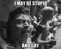 i may be stupid and gay