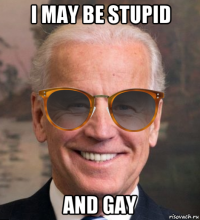 i may be stupid and gay