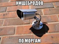 нищебродов по моргам