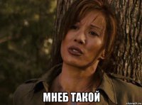  мнеб такой