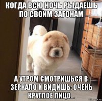 когда всю ночь рыдаешь по своим загонам а утром смотришься в зеркало и видишь: очень круглое лицо...